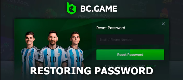 Reset Password